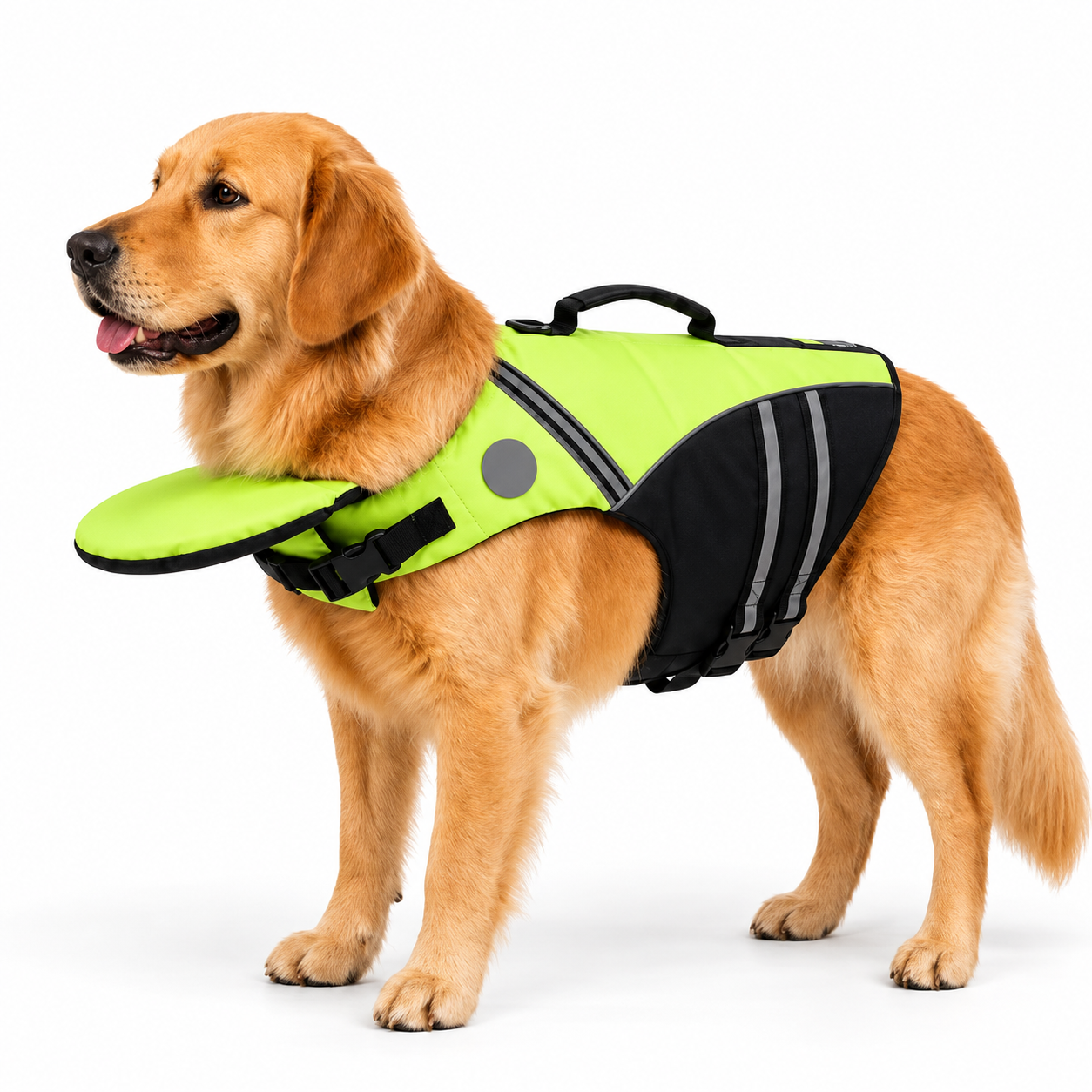 ActivPaws™ Chaleco Salvavidas
